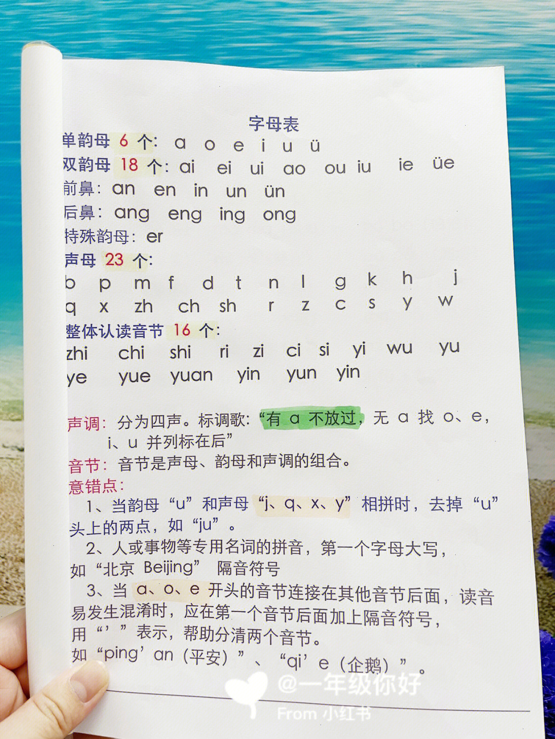 yuan怎么拼读图片