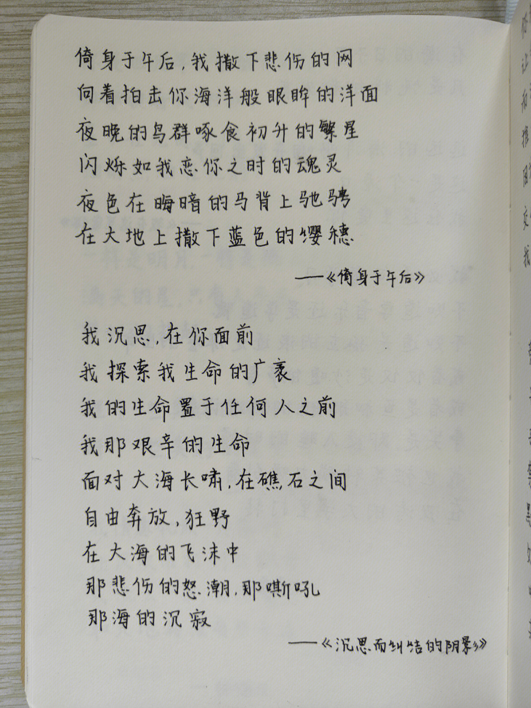 抄写关于大海的诗句,内心也是平静而辽阔的,好似吹着海风,踏着海浪,被