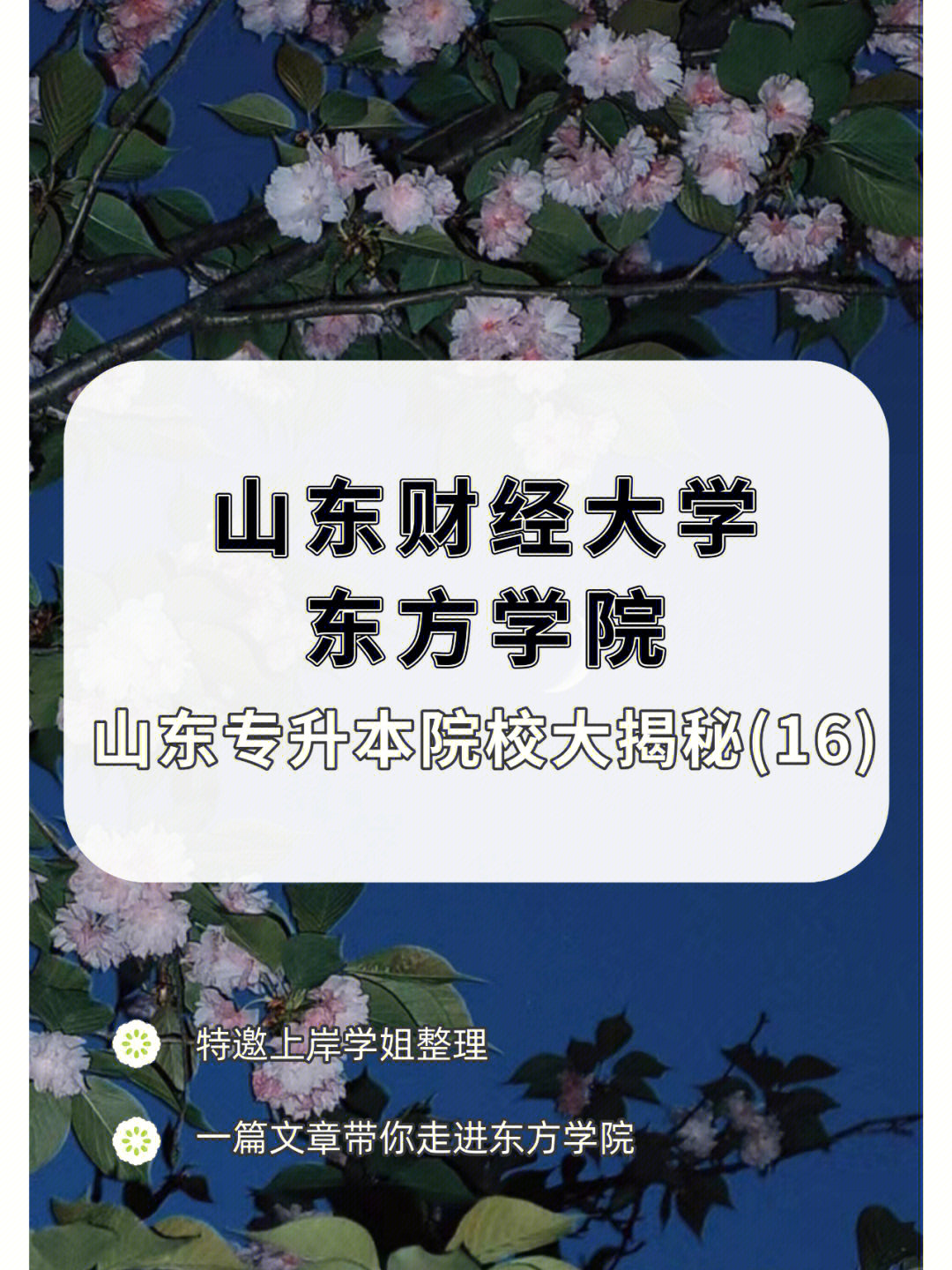 山财经东方学院图片