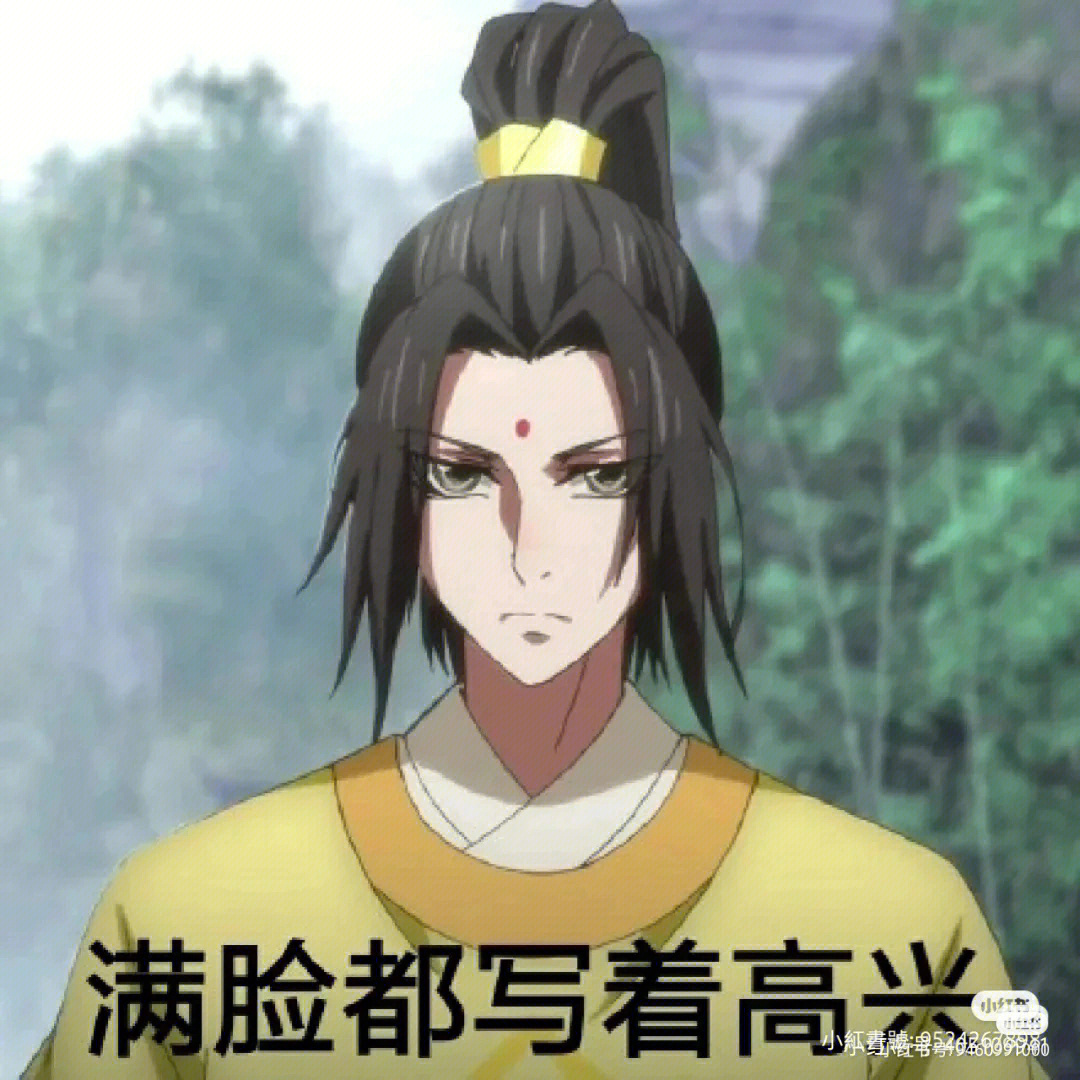 魔道祖师表情包