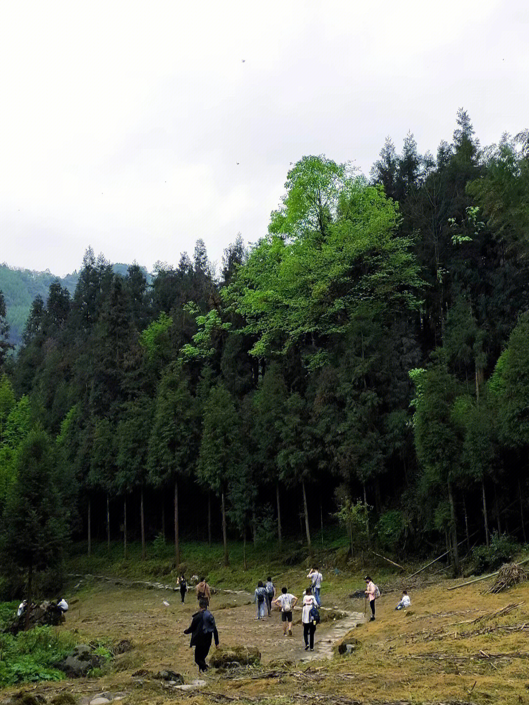 大邑鹤鸣山露营基地图片