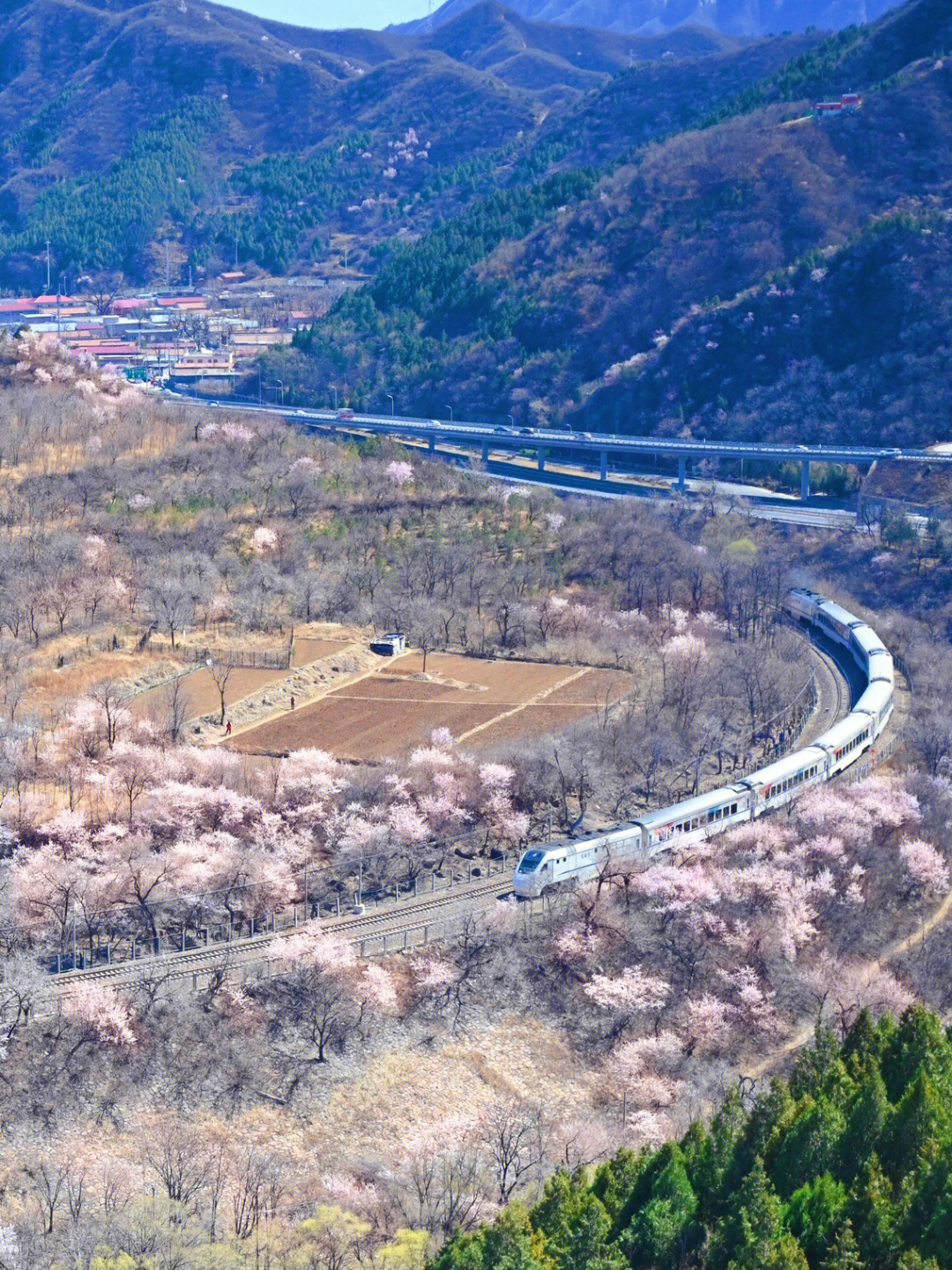 开往春天的列车居庸关图片