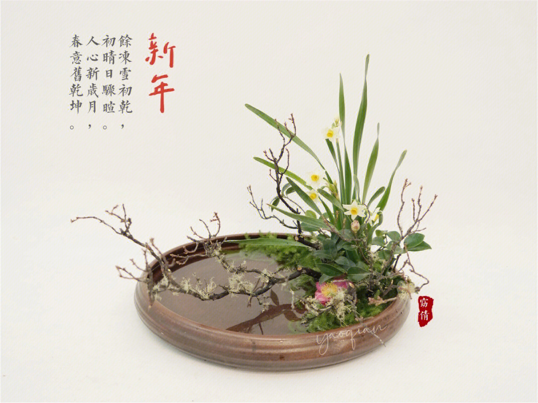 小寒植物变化图片