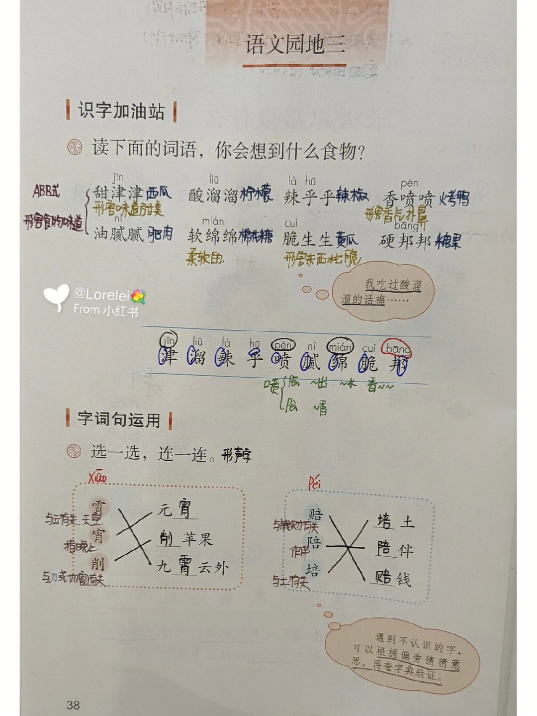 酸溜溜甜津津图片