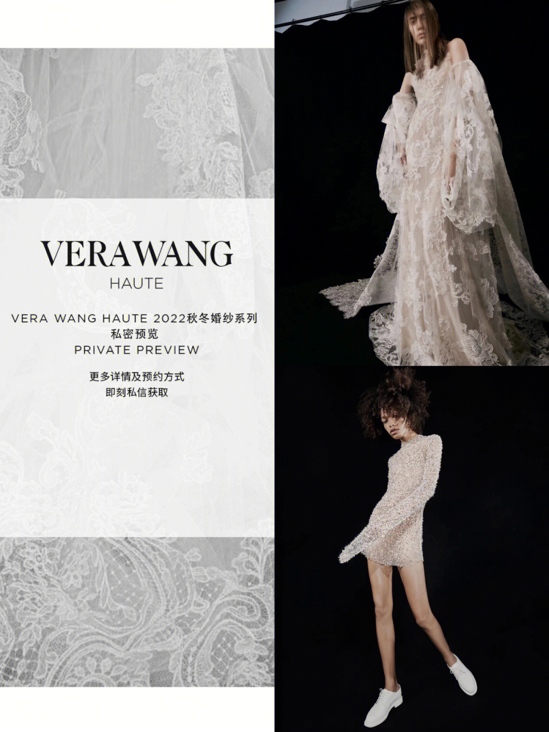 verawanglogo图片