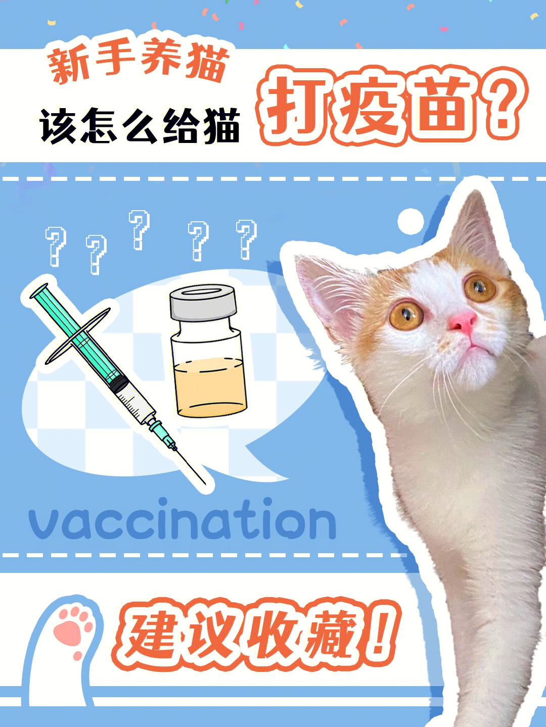 自己给猫打疫苗图解图片