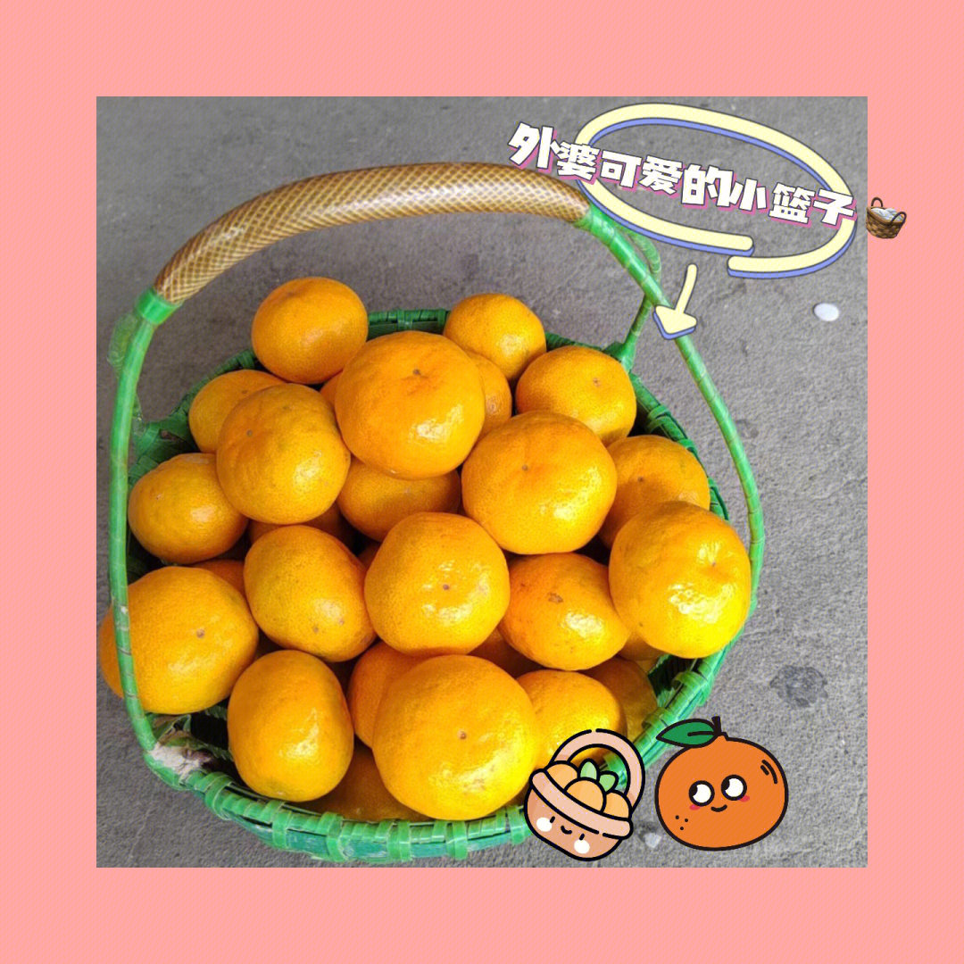 蜜橘晓可爱图片