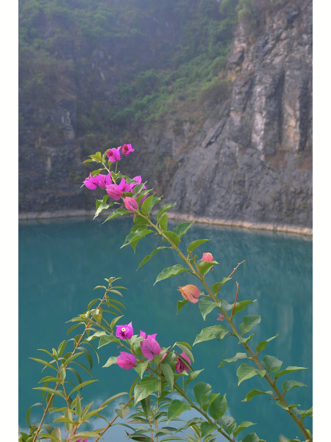 重庆铜锣湾生态园图片