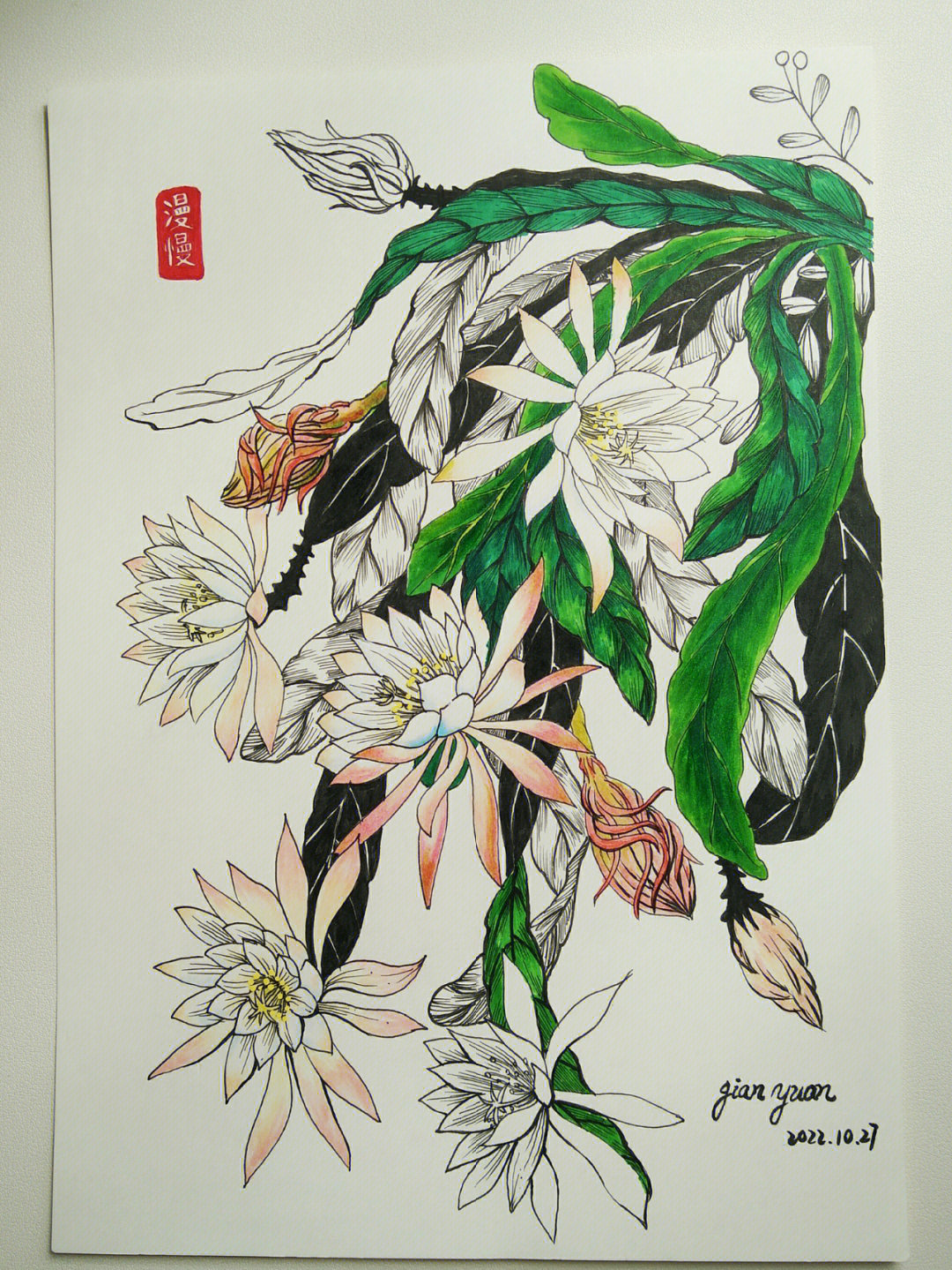 昙花绘画线描马克笔插画装饰画四时花旅