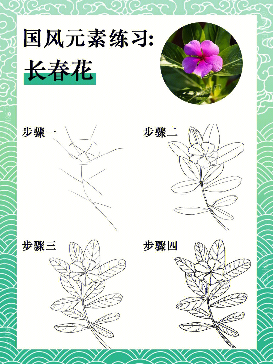 长春花简笔画画法图片