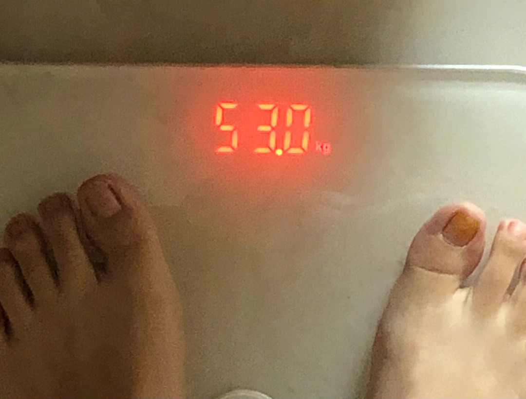 初始体重:582kg 昨日晨重:534kg