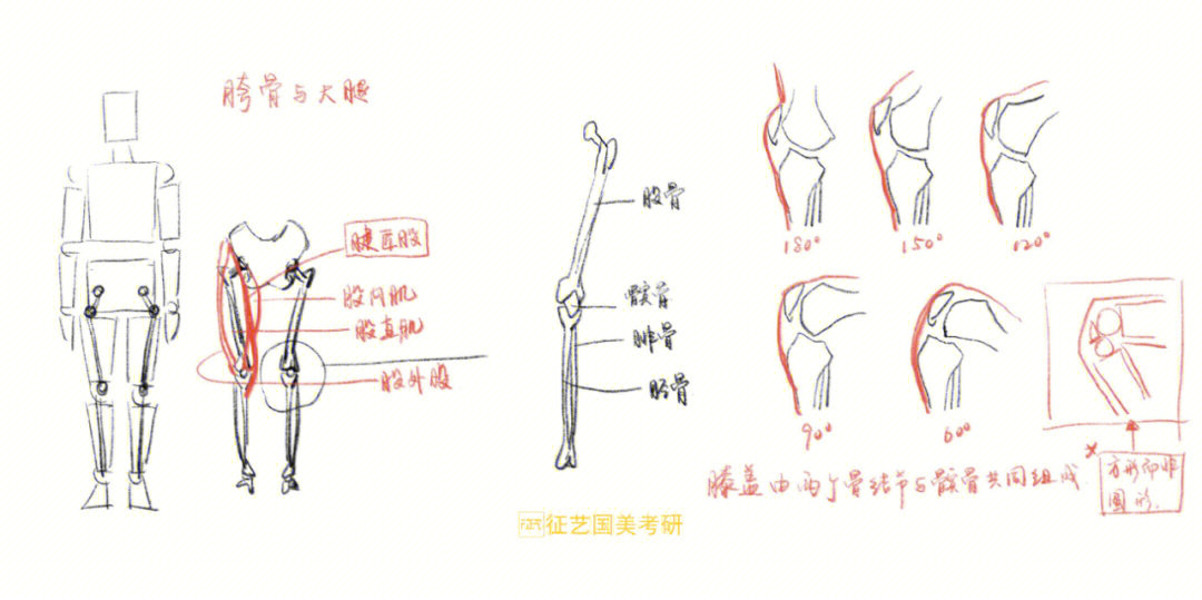 线性素描的基本技法图片