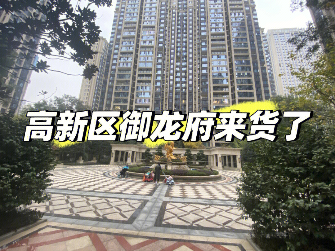 高新区御龙府来货了普通资格可买