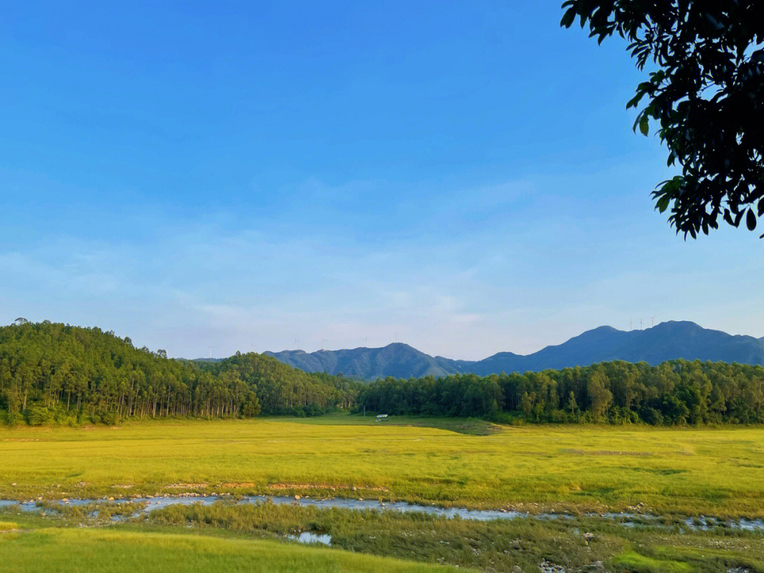 江门台山寻皇千岛湖图片