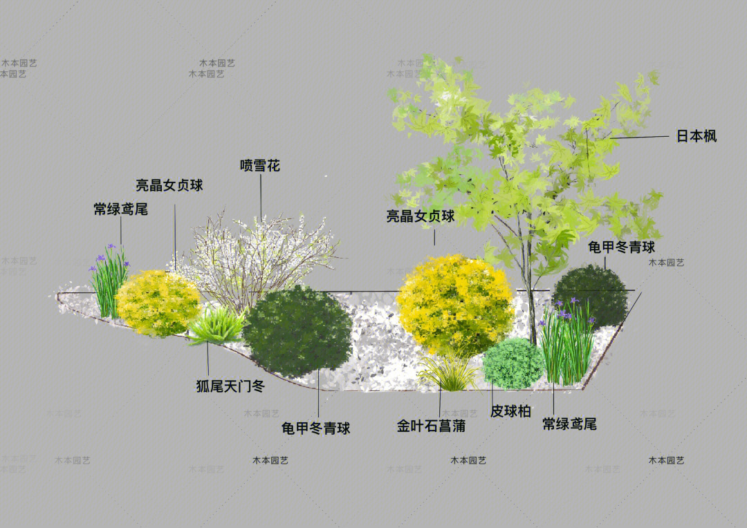 小型花坛平面图图片