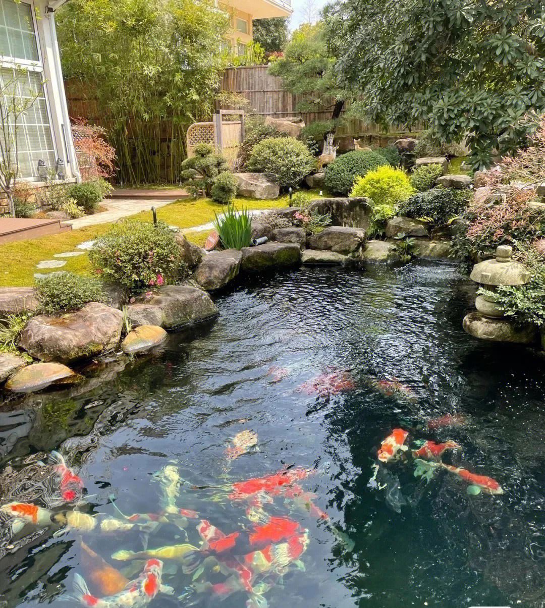 庭院里的锦鲤鱼池实在太美了