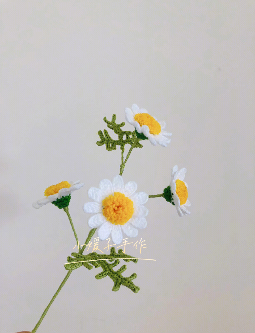 阿富汗针法钩小雏菊花图片