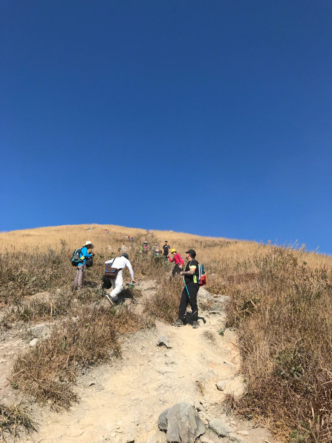 惠州白云嶂登山路线图片