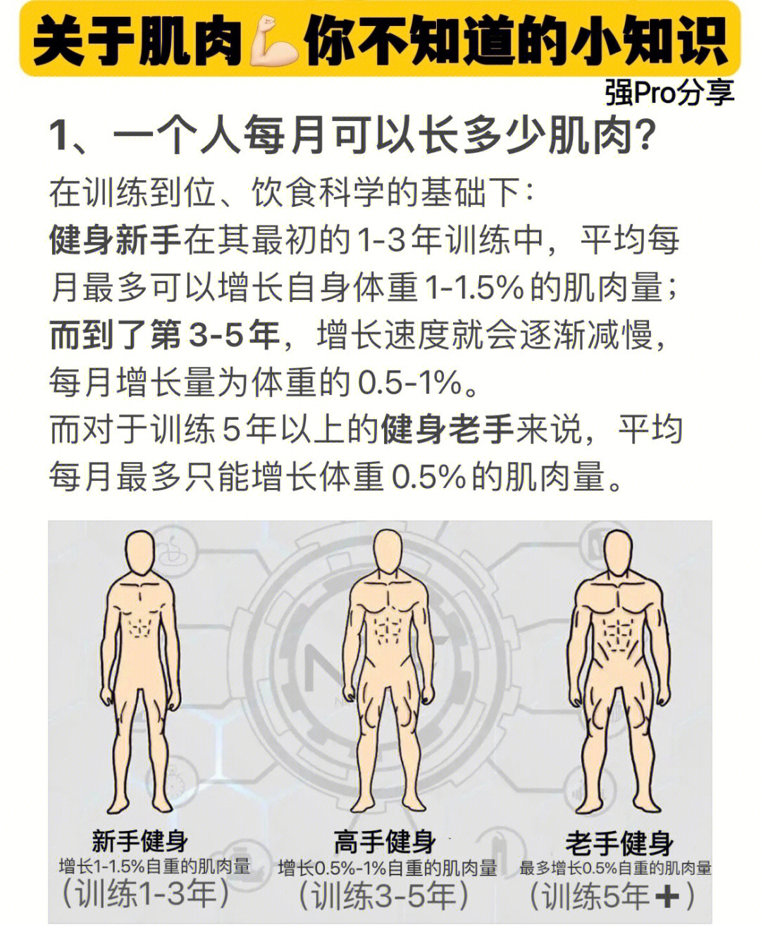 关于肌肉9499你不知道的小知识!