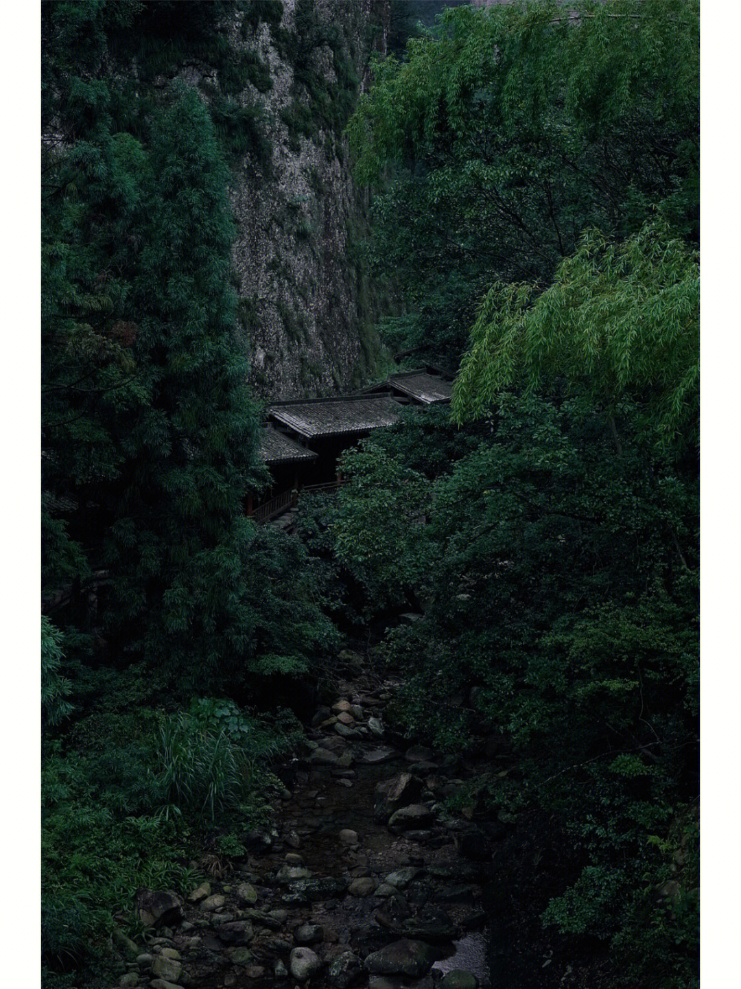 三访大龙湫图片