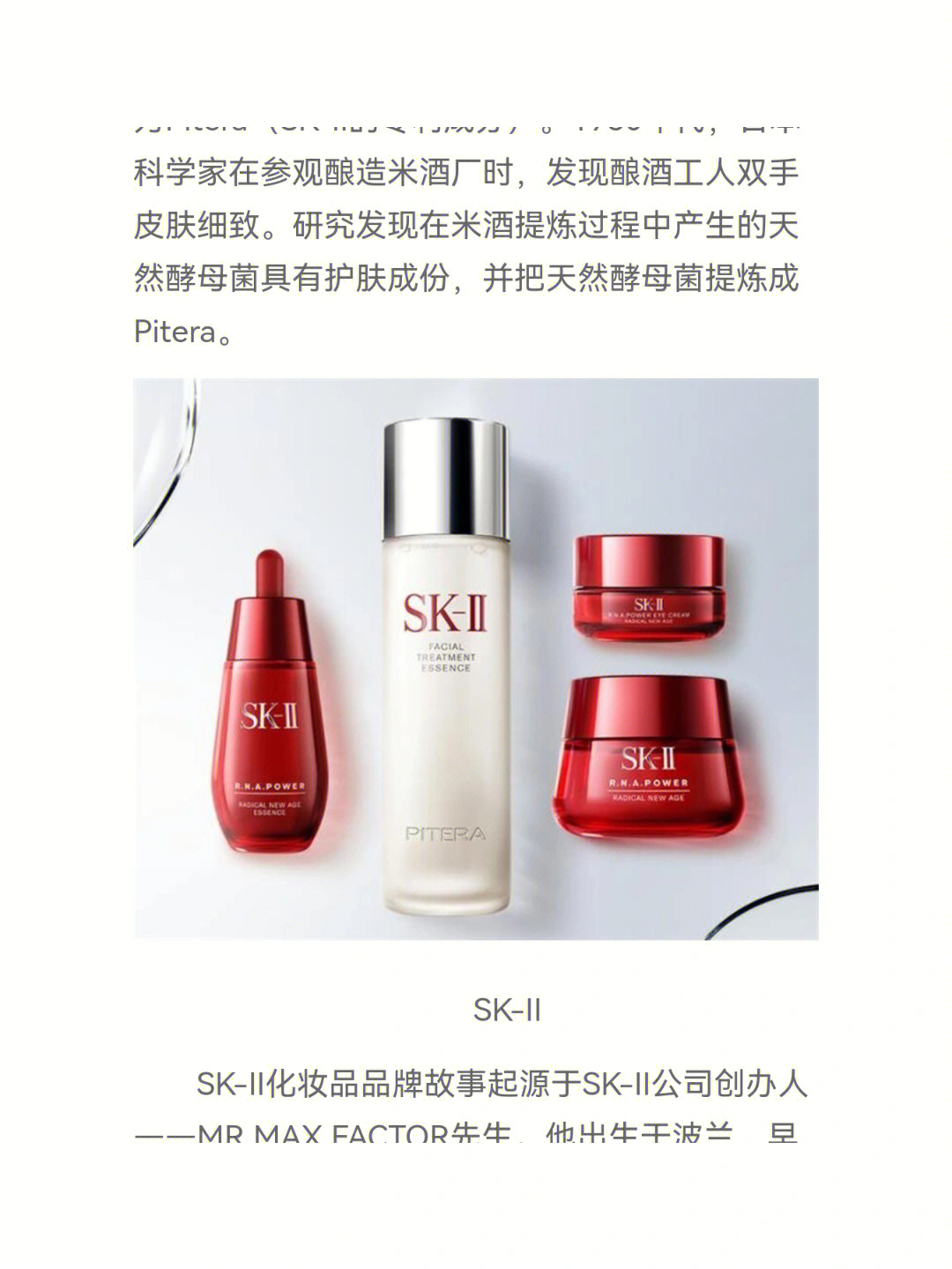 sk2标志设计含义图片