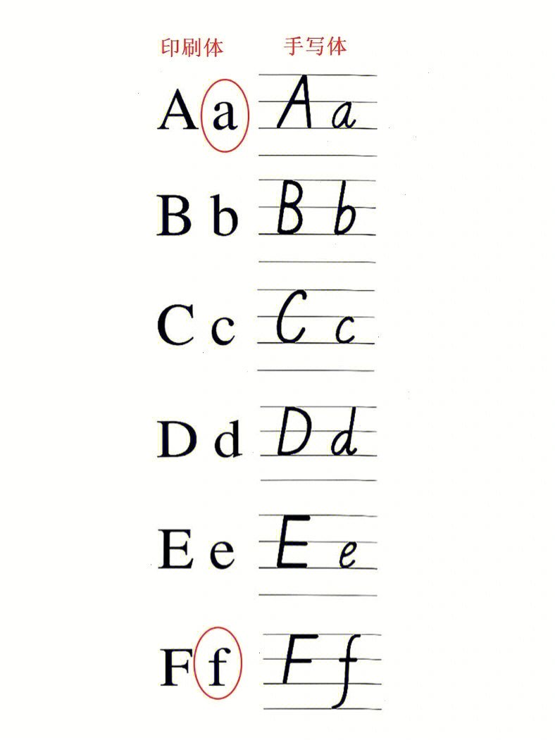 26个英文字母印刷体和手写体的区别