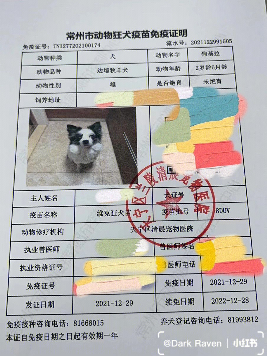赤峰狗证图片
