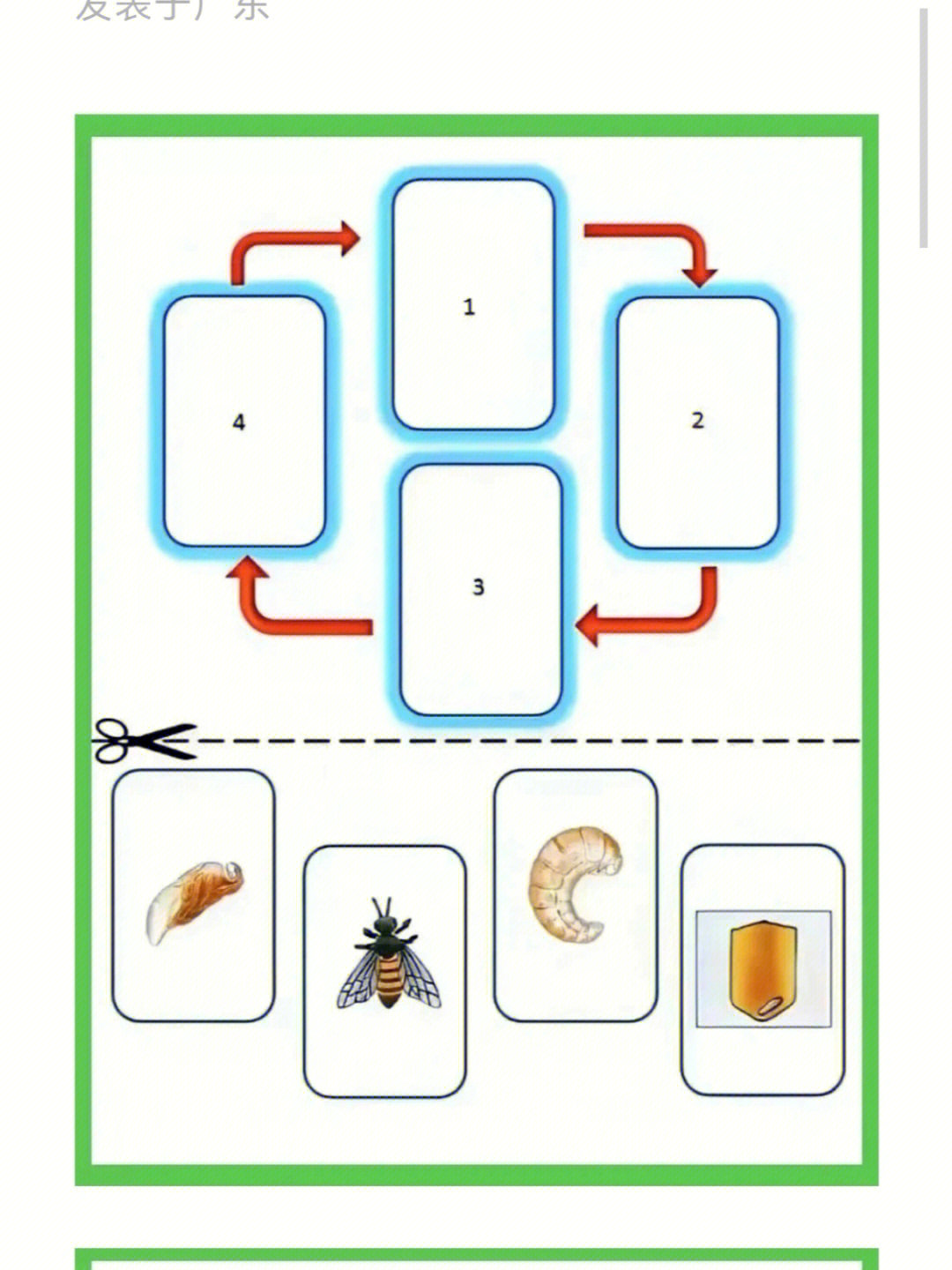 益智区如何投放材料图片