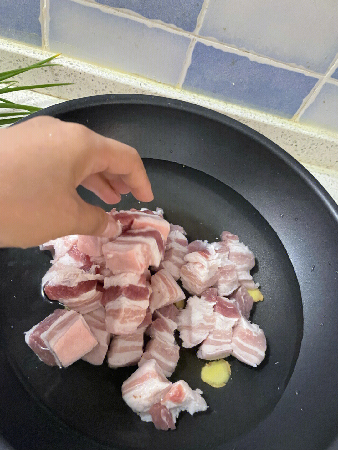 电饭锅红烧肉