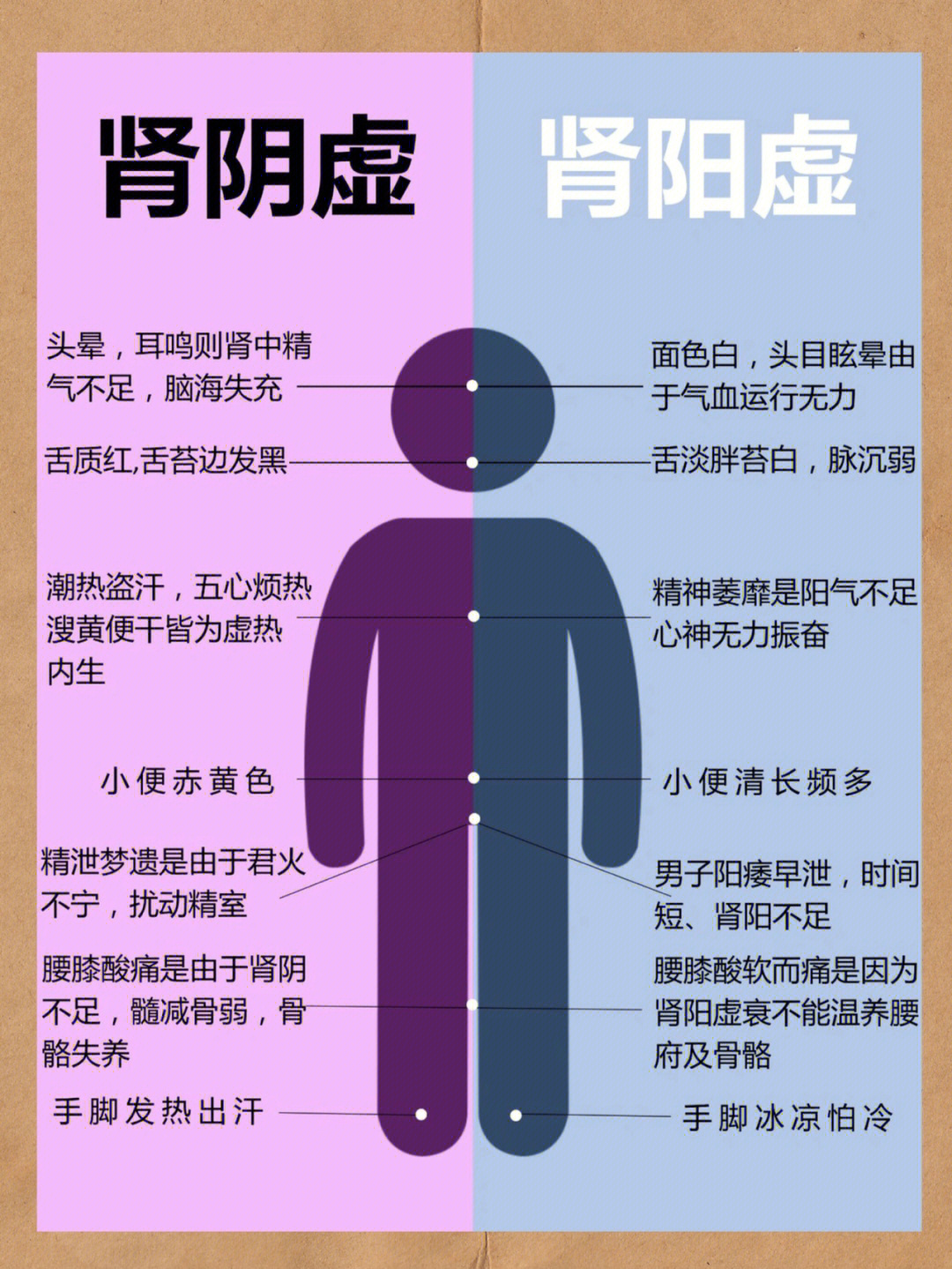 肾阳虚和肾阴虚什么区别怎么吃补肾