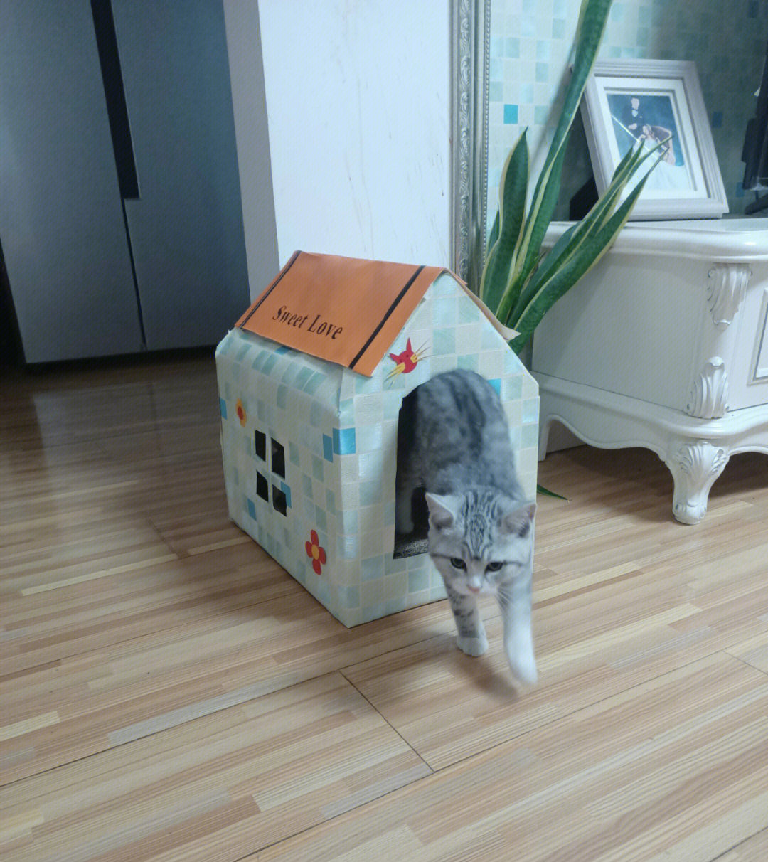 用纸箱自制宠物台阶图片