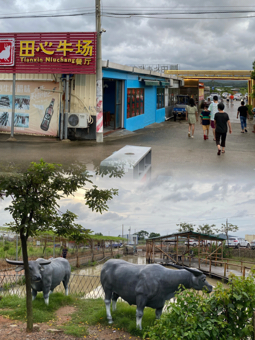 田心牛场餐厅图片