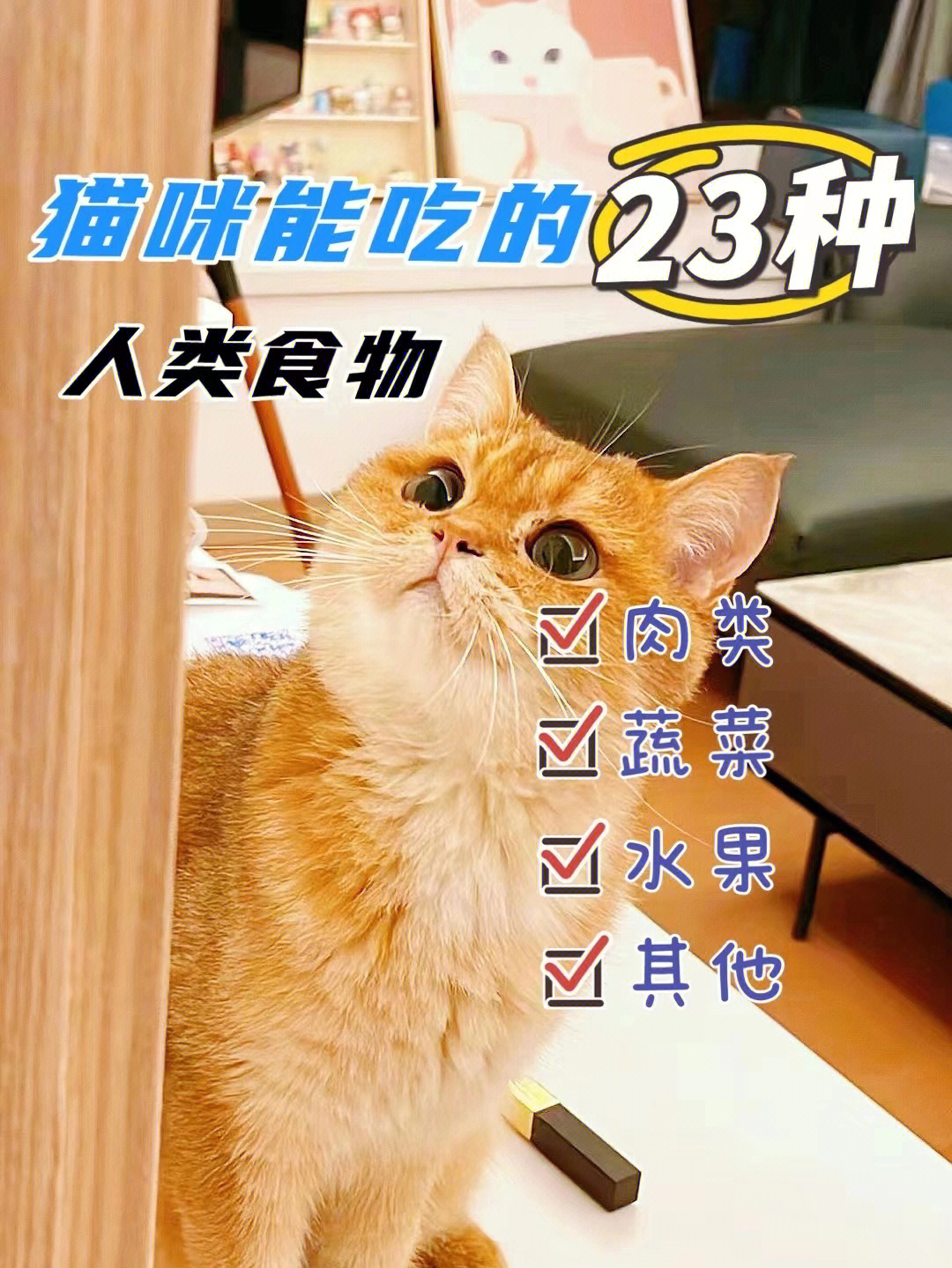 猫咪能吃的23种人类食物73新手养猫必看