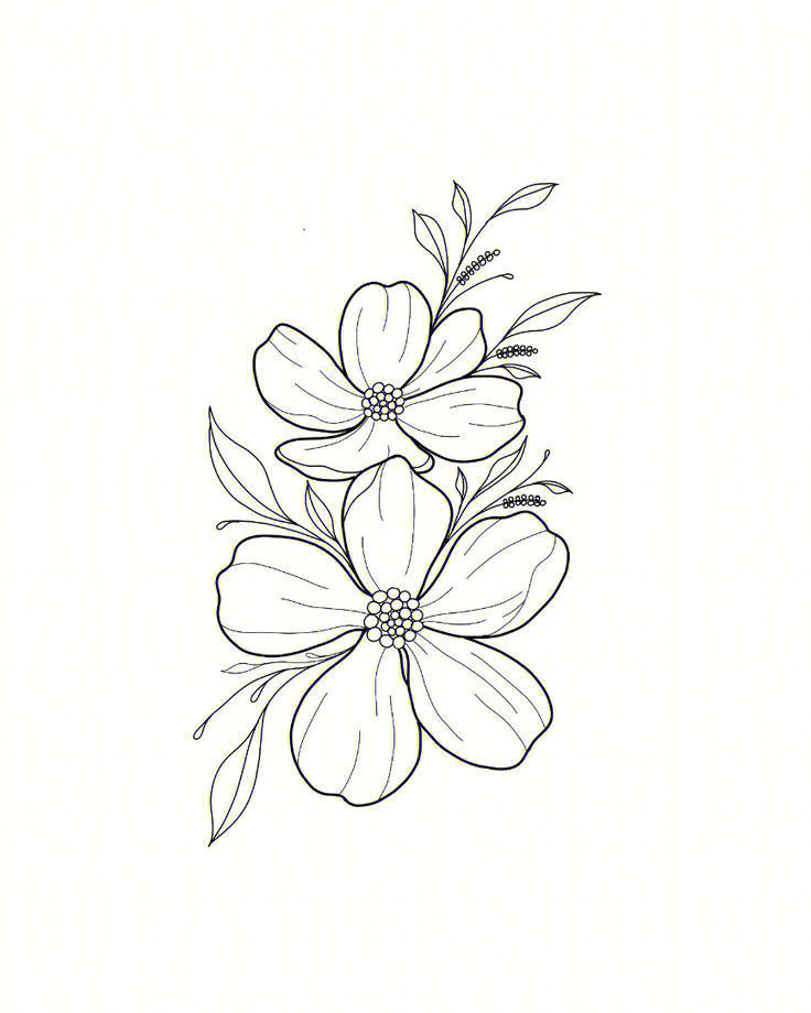 刺绣图案花卉线稿分享