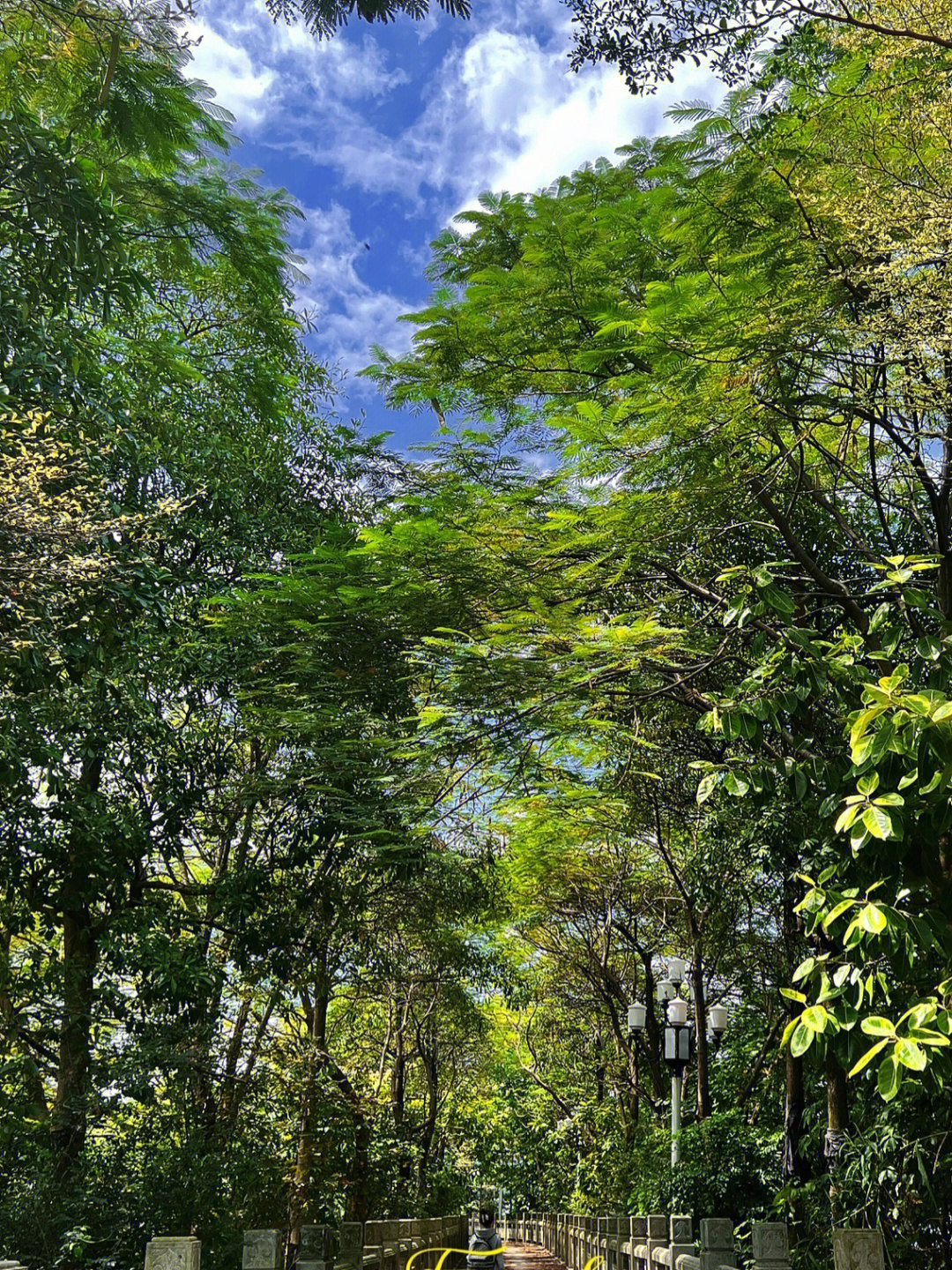 庆云洞风景区图片