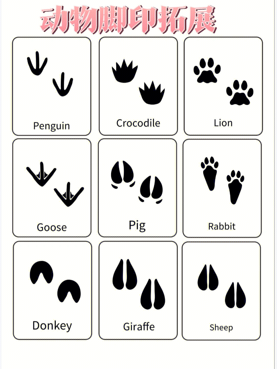十二生肖动物脚印图图片