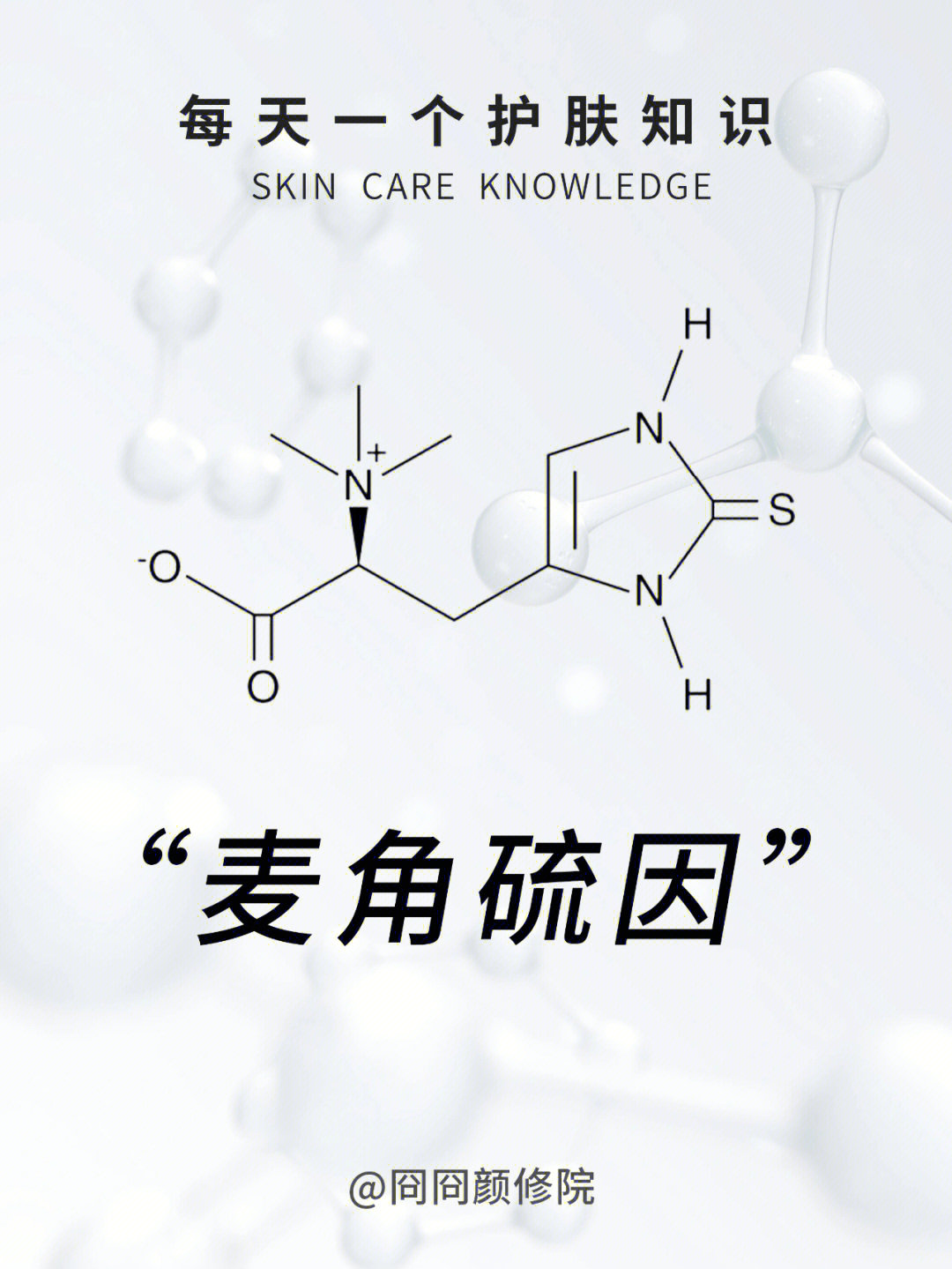 麦角二乙图片