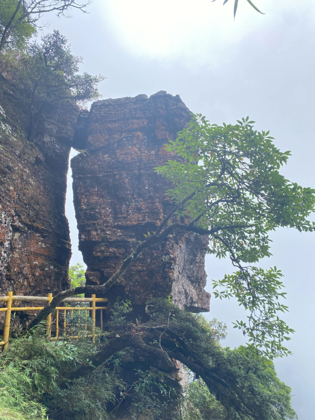 圣堂山山顶图片