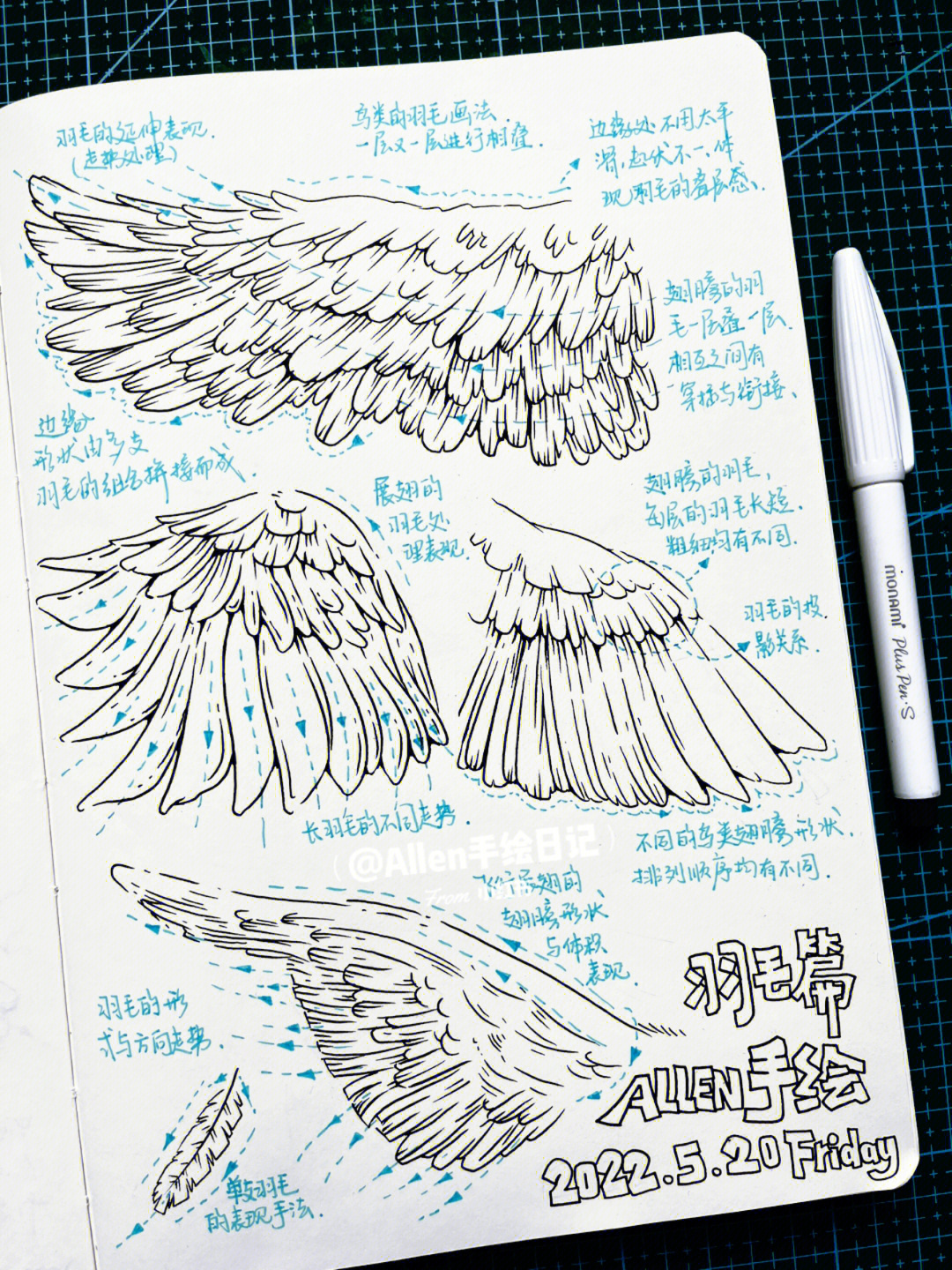 的原创笔记关于视觉传达设计考研手绘素材羽毛元素的画法希望大家喜欢