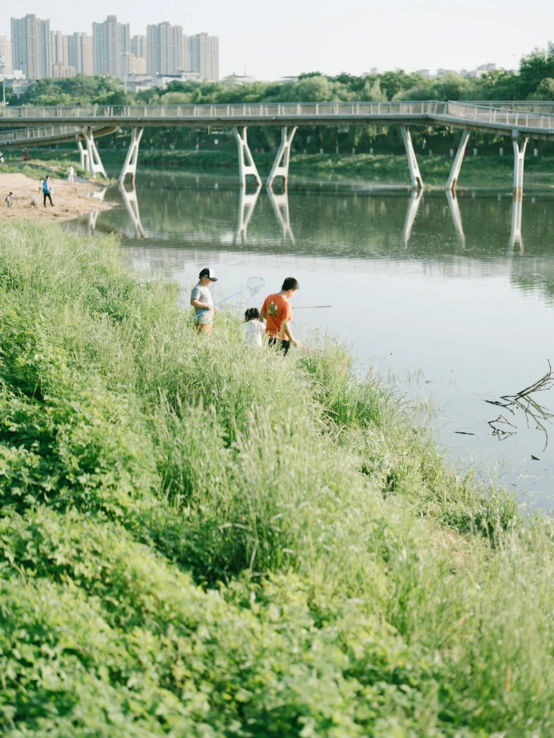 西安桃花潭中学生图片图片