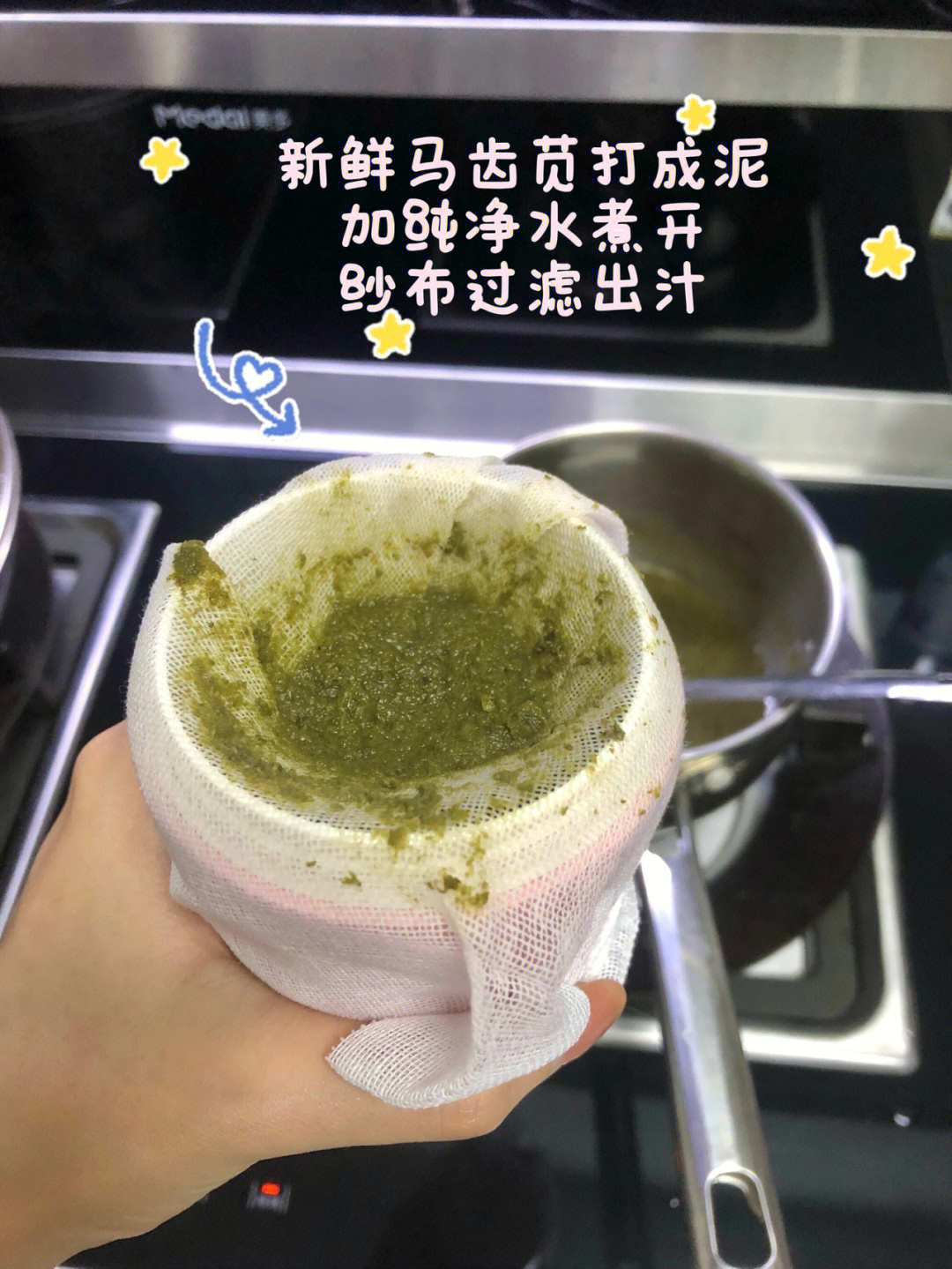 马齿笕去湿疹的方法图片