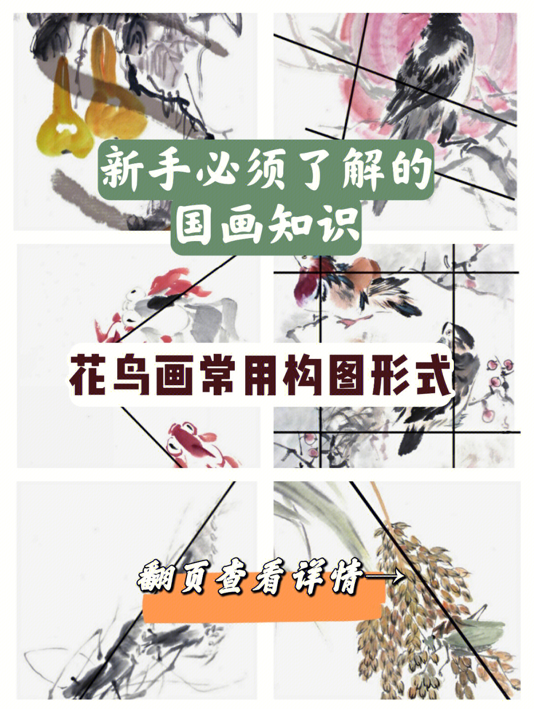 花鸟画创作说明图片