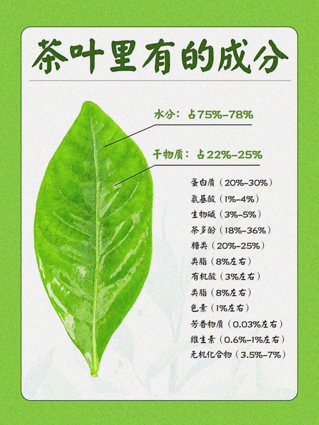 茶叶里的三大有益成分