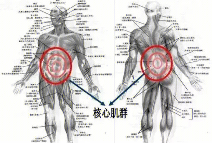 核心示意图图片