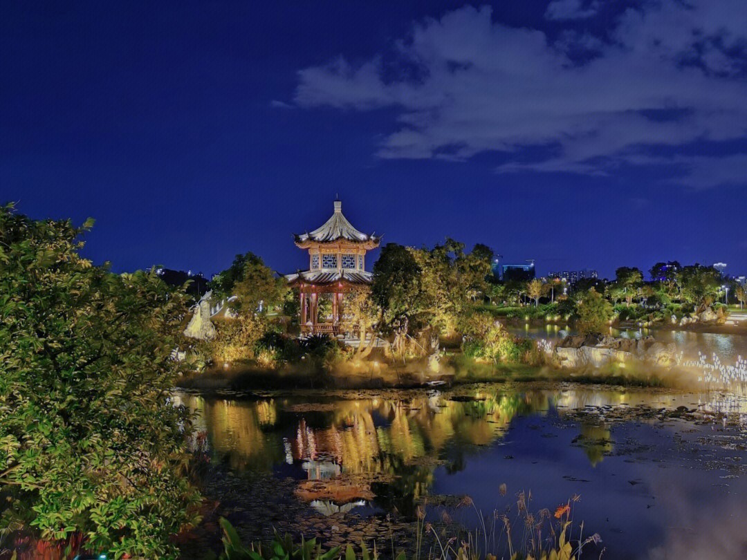 江门潮头公园夜景图片