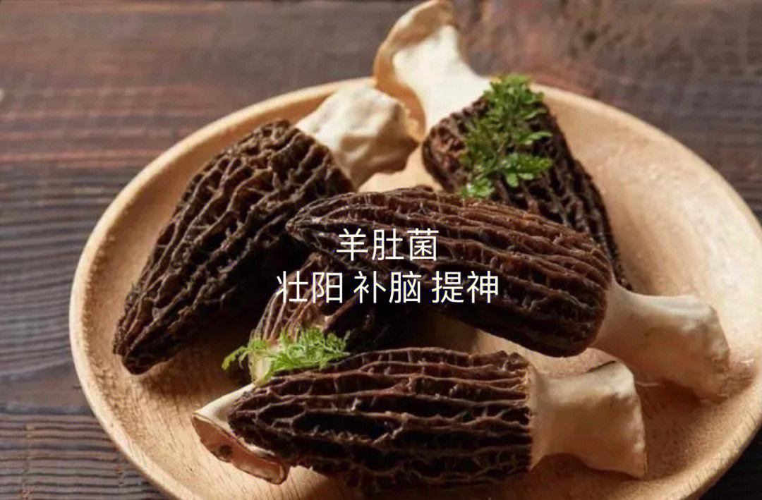 牛肝菌的功效与作用图片