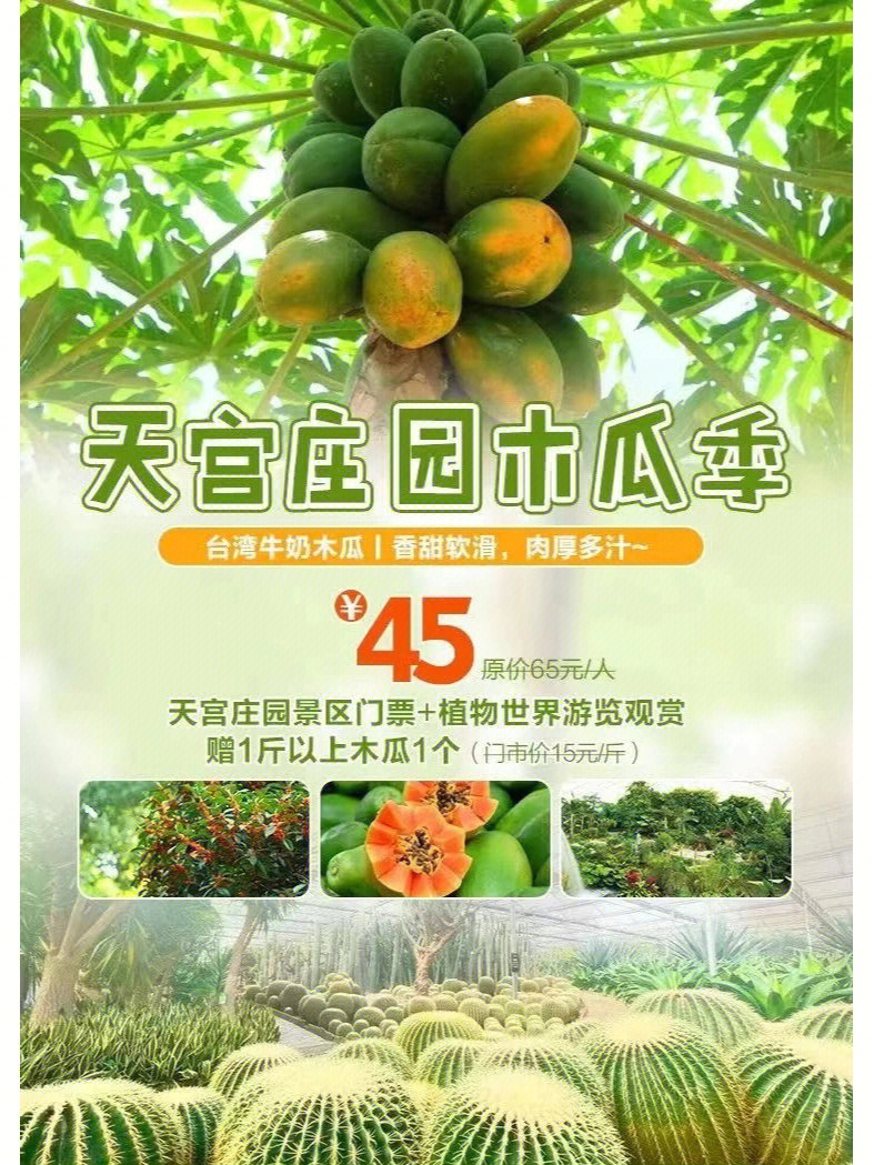 天宫庄园植物园简介图片