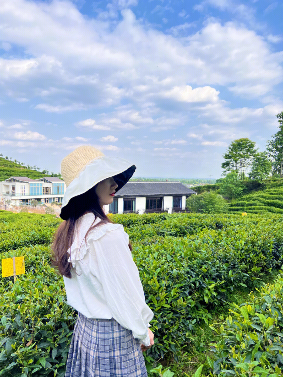 赵坡茶仙谷绵竹新晋旅游目的地