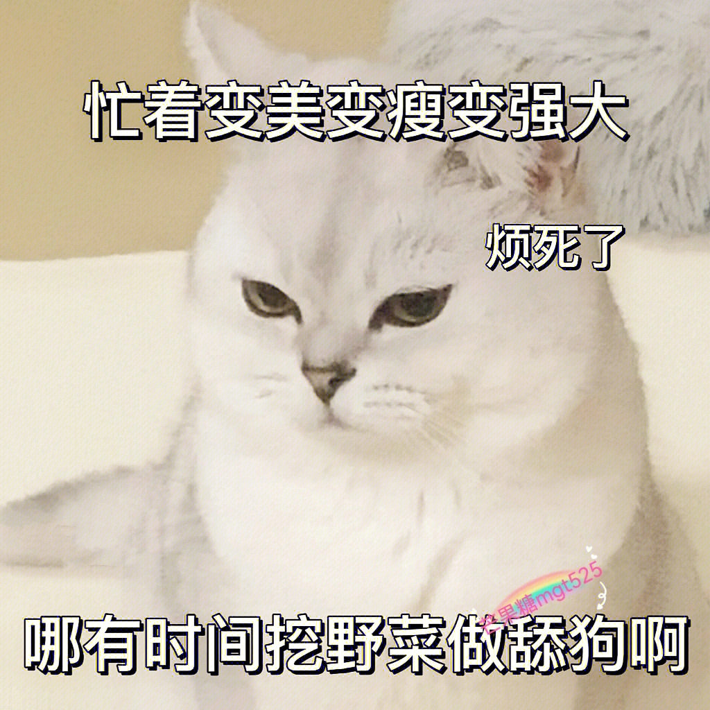 蓝色线条猫咪表情包图片