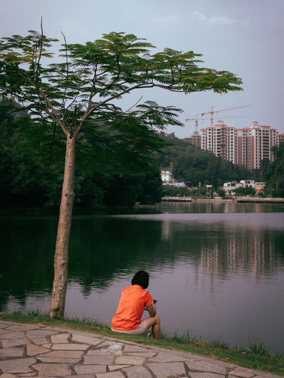 云浮蟠龙天湖广场图片